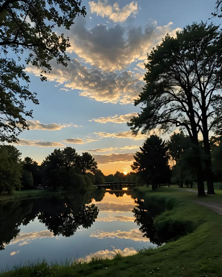 the sun is setting behind some trees near a body of water with reflections in it