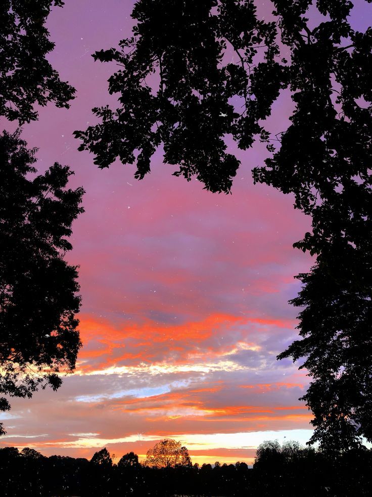 the sky is pink and purple as the sun sets in the distance behind some trees