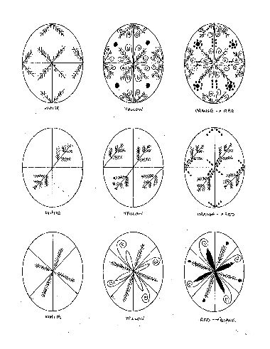 an image of different types of plants and flowers in the same circle, with numbers on each