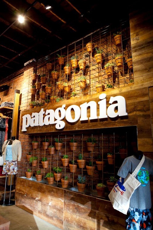 the patagonia store has many potted plants on display