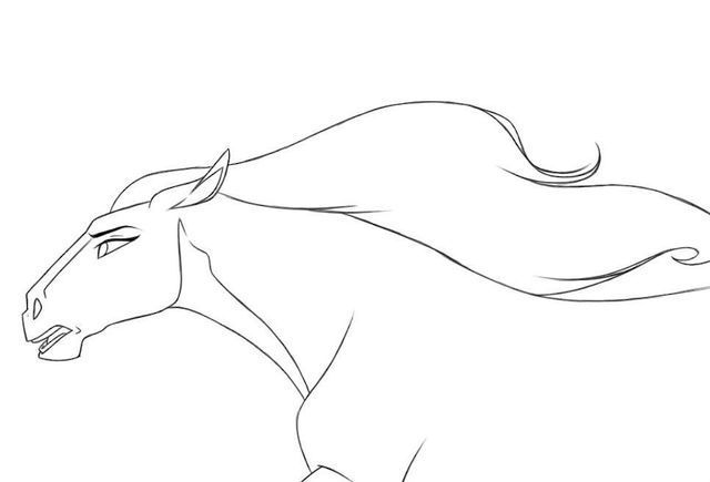 a horse's head with long mane and tail blowing in the wind, drawn by hand