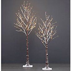 two small trees with white lights on them