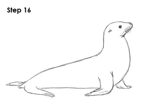 a drawing of a seal sitting on the ground