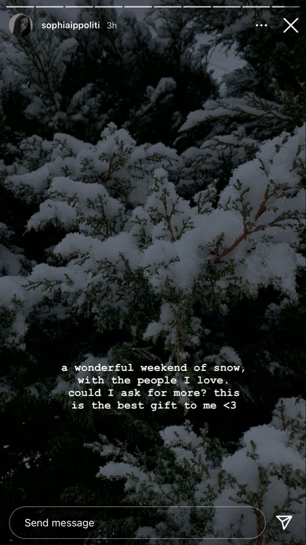 snow covered trees with a poem written in the middle