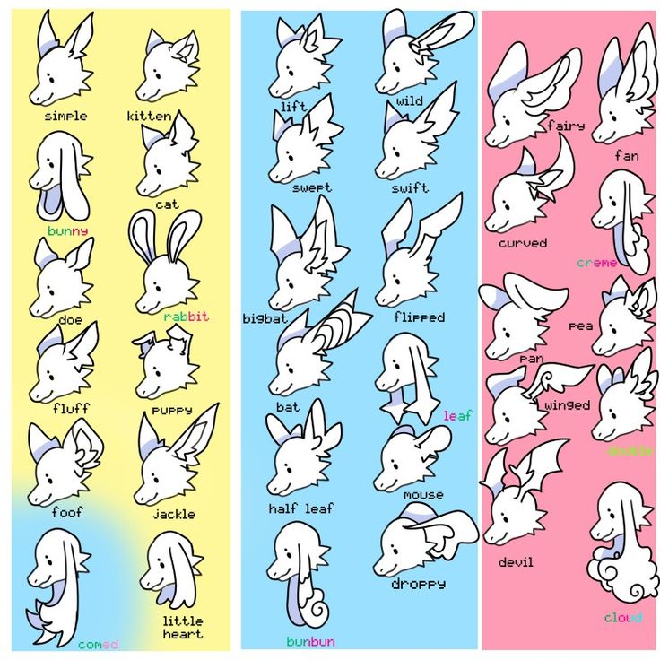 the different types of pokemon heads