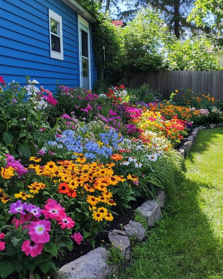 colorful flowers line the edge of a garden bed in front of a blue house on a sunny day