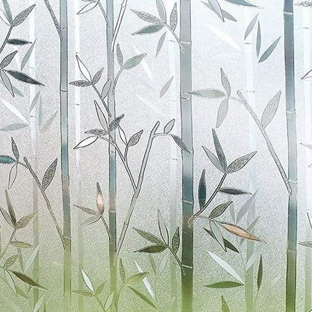 a glass window with some leaves on it