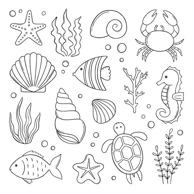 the sea animals and fish are drawn in black on white paper, including starfish, shells