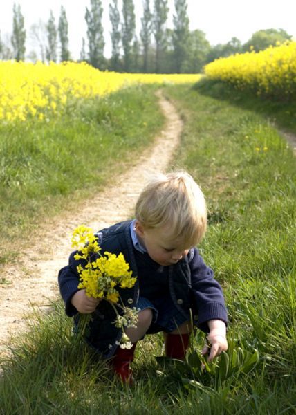 a little boy kneeling down to pick up some flowers