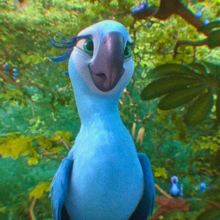 a close up of a blue bird on a branch with trees in the back ground