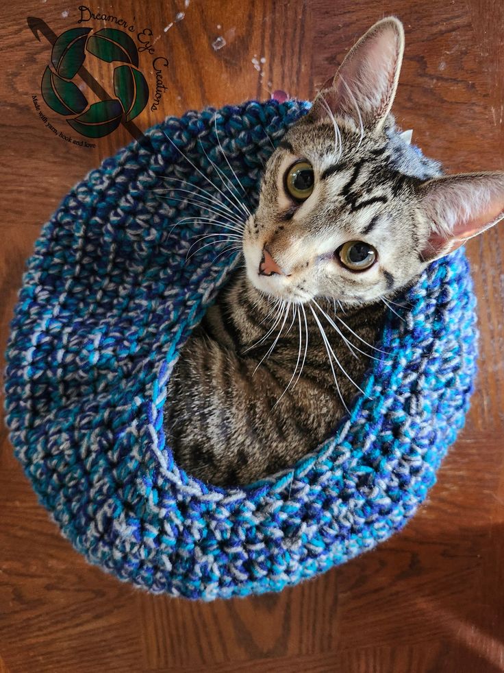 a cat sitting in a crocheted blue hat on top of a wooden floor