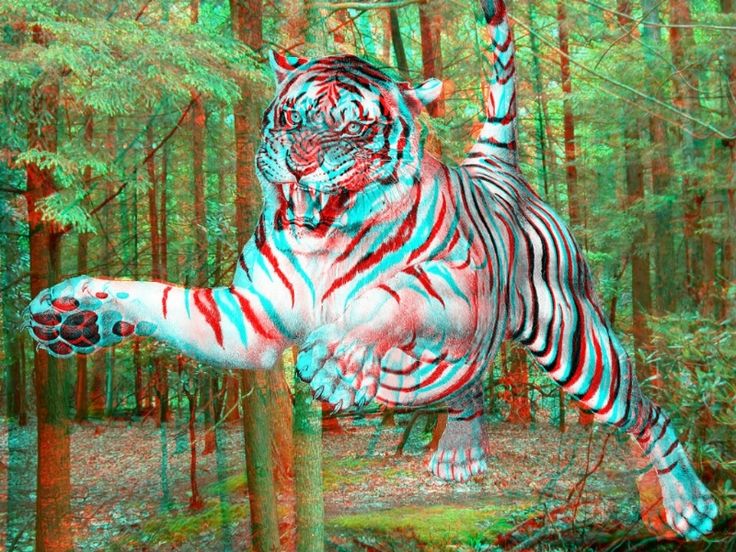 a large white tiger standing on its hind legs in the middle of a forest filled with trees