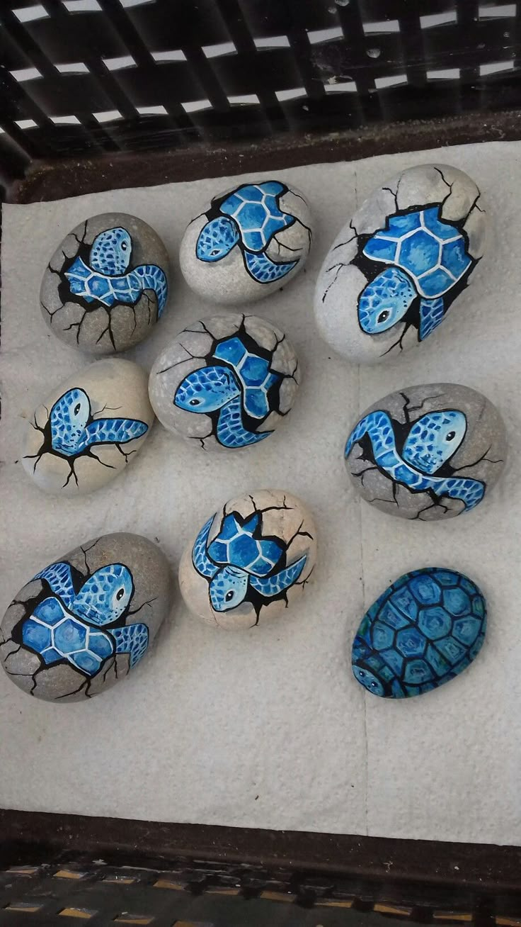 painted rocks with sea turtle designs on them