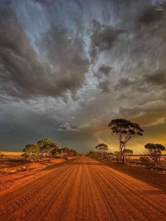 a dirt road surrounded by trees under a cloudy sky