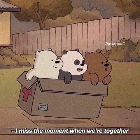 three bears in a box with the caption i miss the moment when we're together