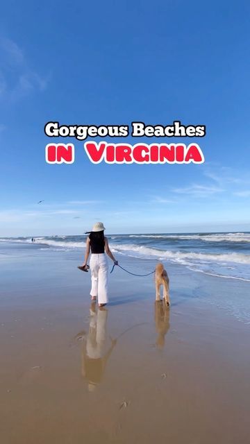 a woman walking her dog on the beach with text that reads gorgeous beaches in virginia