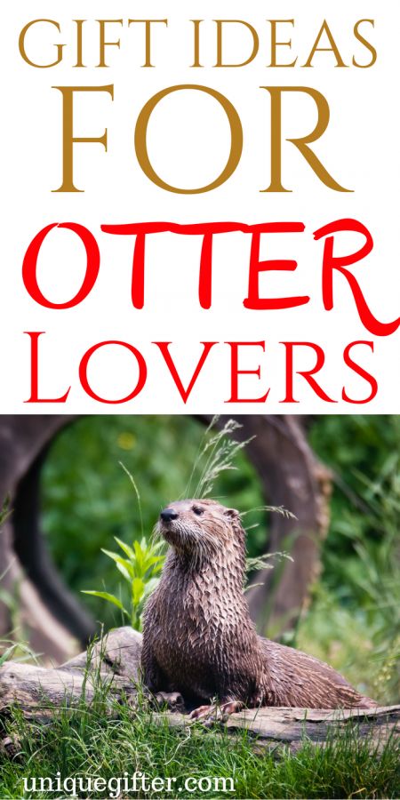 an otter sitting on top of a log with the words gift ideas for otter lovers