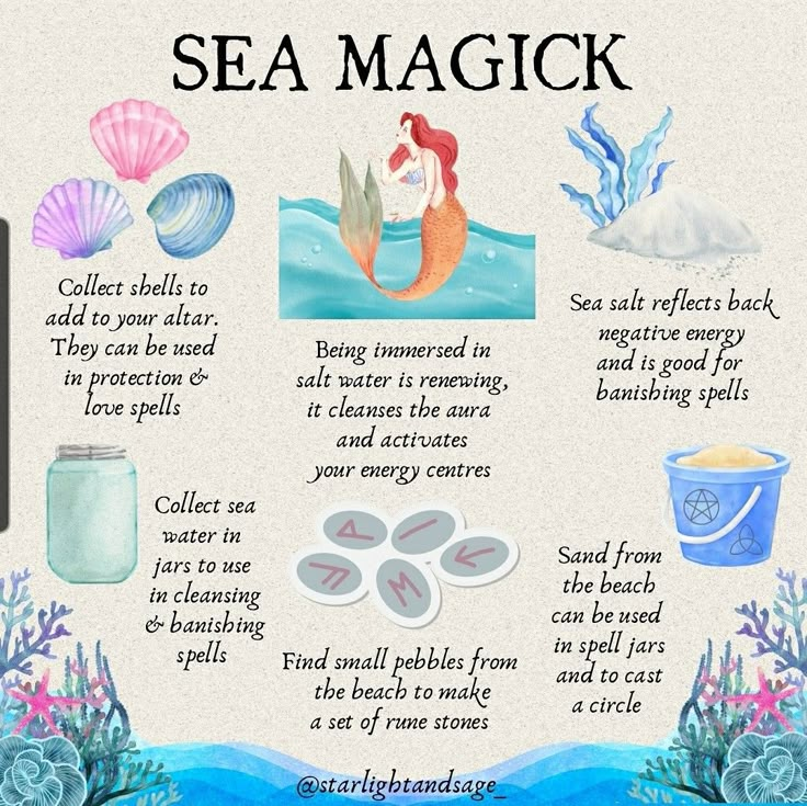 an image of sea magic with the words in english and pictures on it, along with images of seashells