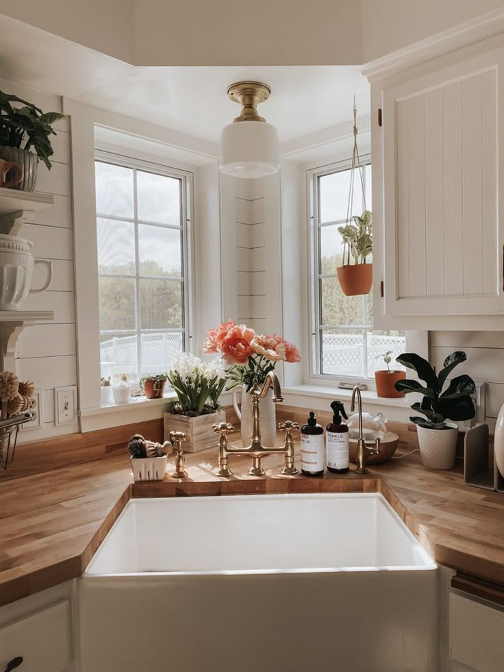 a white kitchen sink sitting next to a window with potted plants on top of it