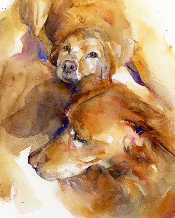 a watercolor painting of two dogs laying down