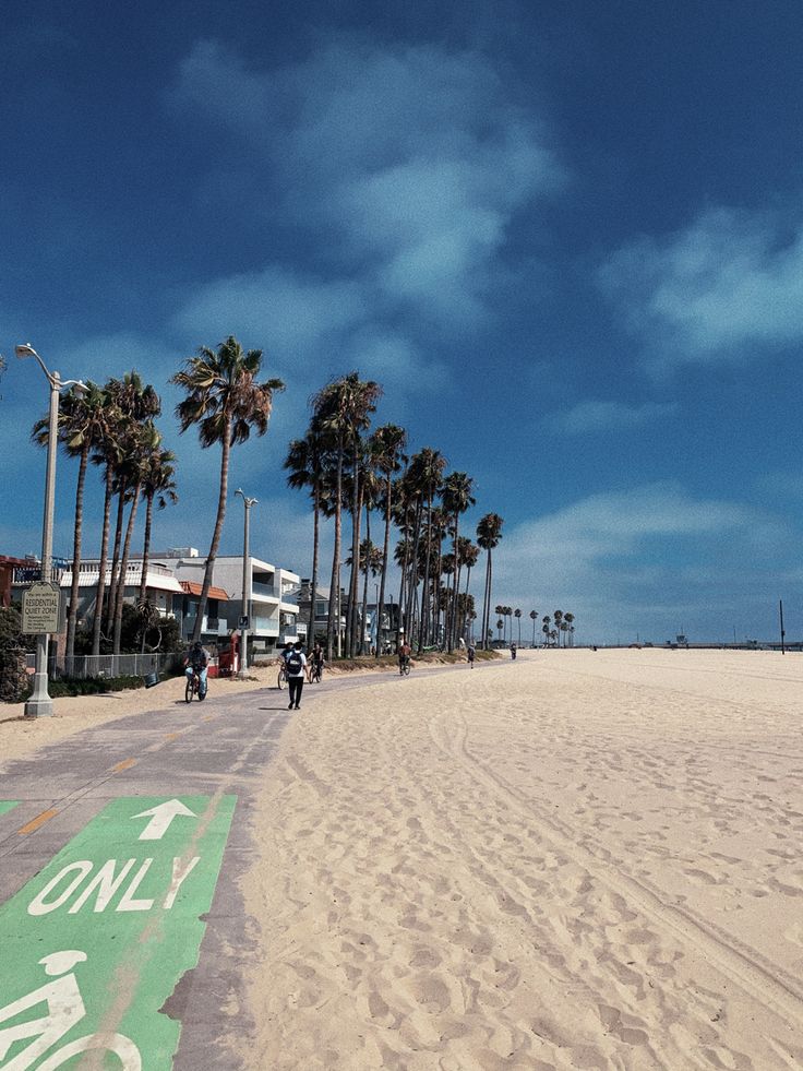 a bike lane on the beach with palm trees