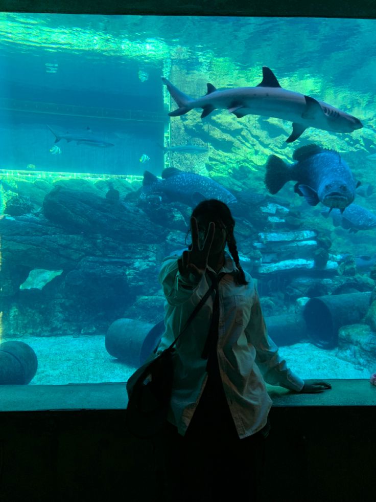 a girl looking at sharks in an aquarium