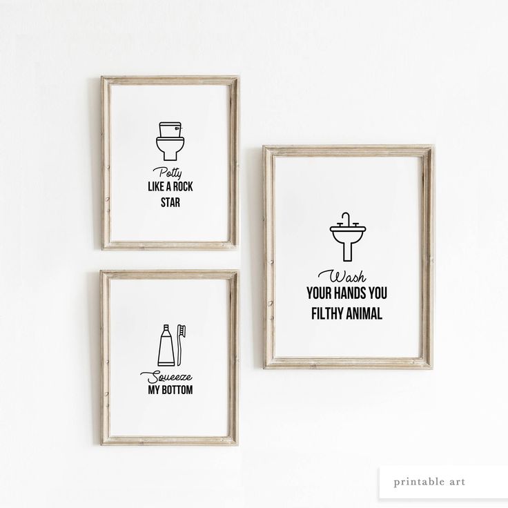 three framed pictures on the wall with funny sayings about bathroom items and how to use them