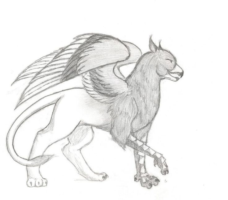 a drawing of a horse with wings on it's back legs and tail is shown