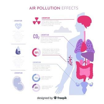 the human body with different types of air pollution effects