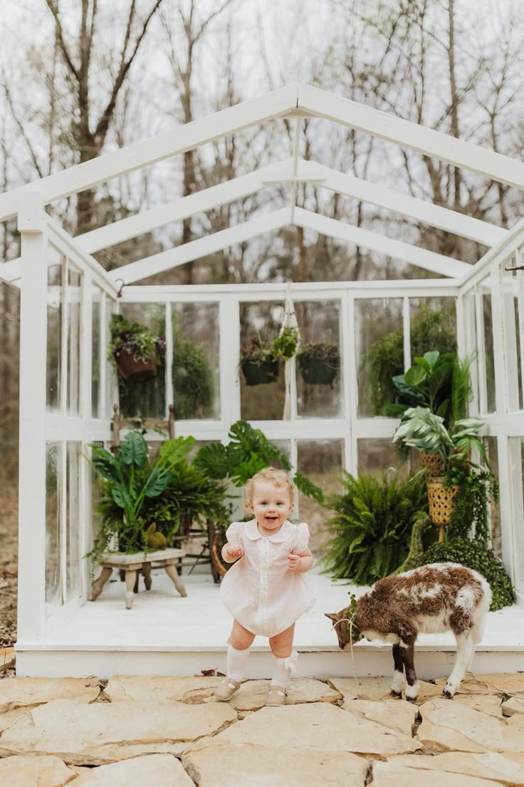 Mini Greenhouse Photoshoot, Green House Photography Studio, Green House Photoshoot, Creek Minis, Greenhouse Portraits, Macrame Photography, Photography Greenhouse, Greenhouse Studio, Photography Freebies