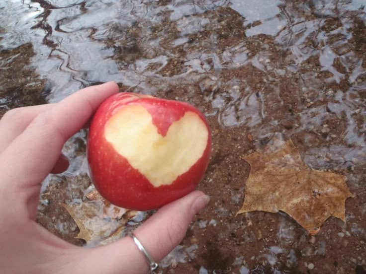 a person holding an apple with a heart cut in it's center, on the ground