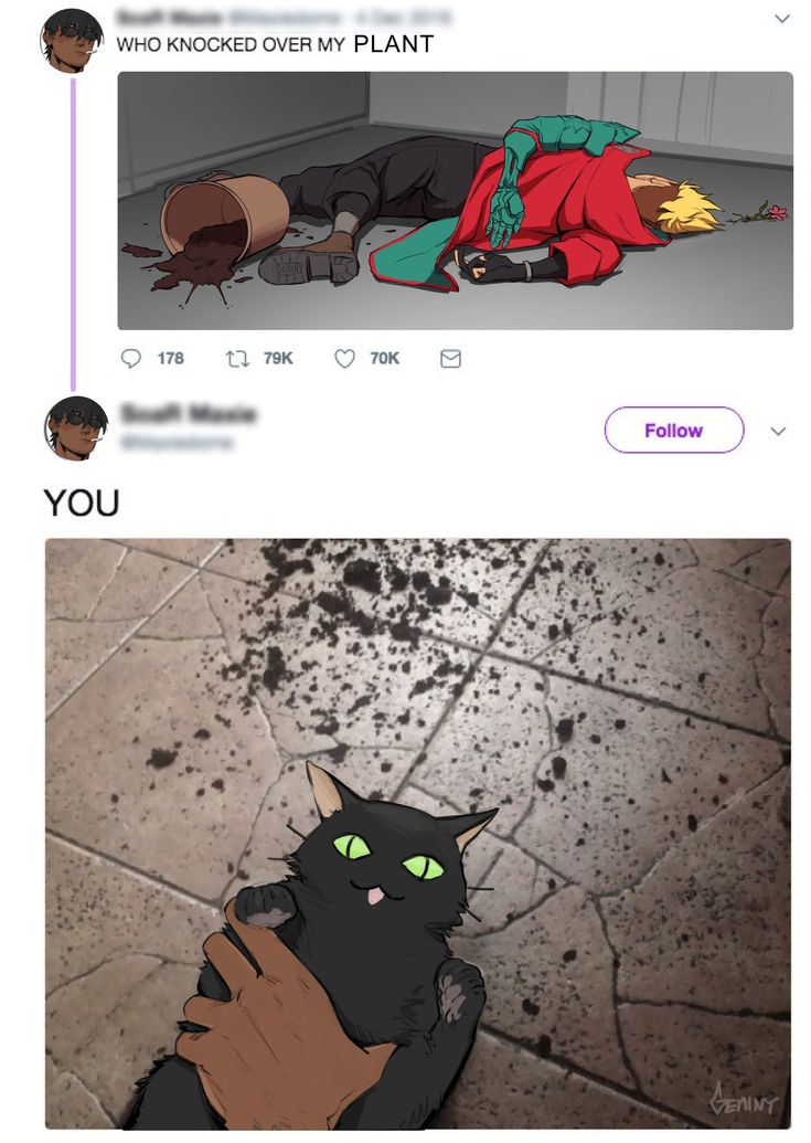 two screens showing the same person laying on the ground with their arms around a black cat