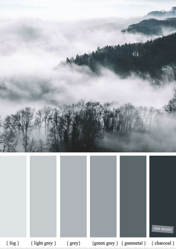 the color scheme is gray, and it looks like fog in the mountains with trees