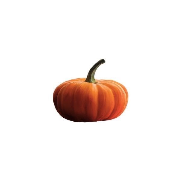 an orange pumpkin on a white background with no image in the top right hand corner