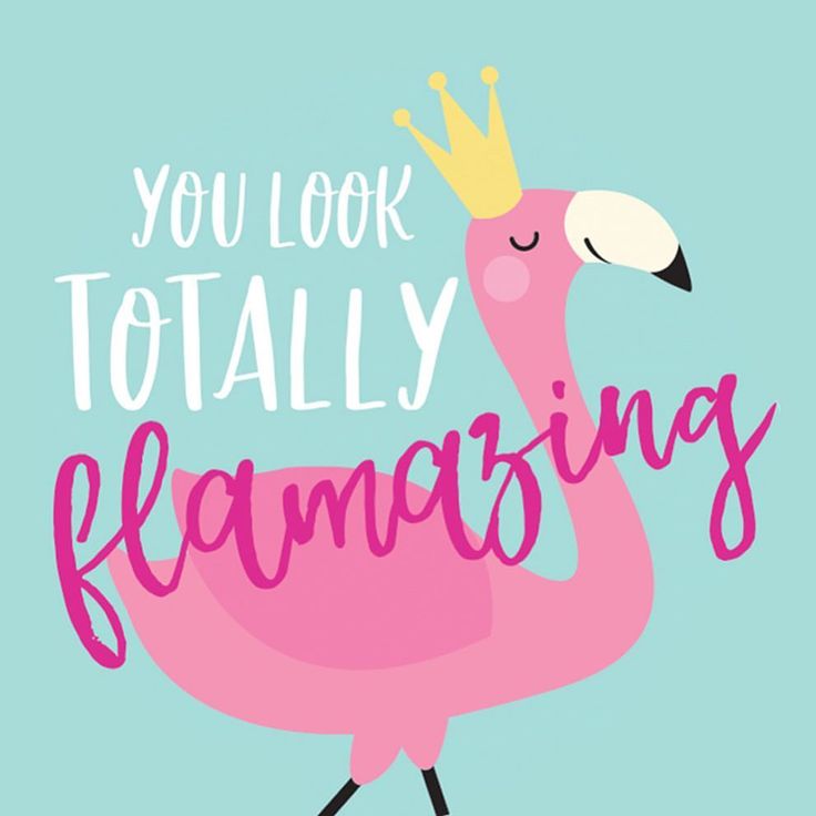 a pink flamingo with a crown on it's head and the words you look totally