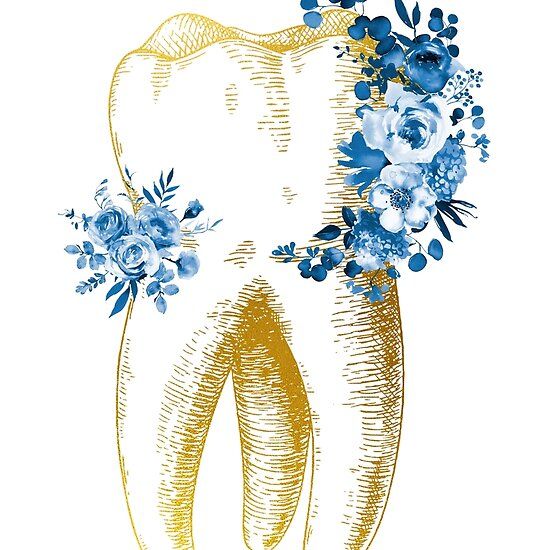 Human tooth Dental Illustration, Dental Wall Art, Dental Wallpaper, Dentist Art, Teeth Art, Kedokteran Gigi, Dental Office Decor, Human Teeth, Dental Design