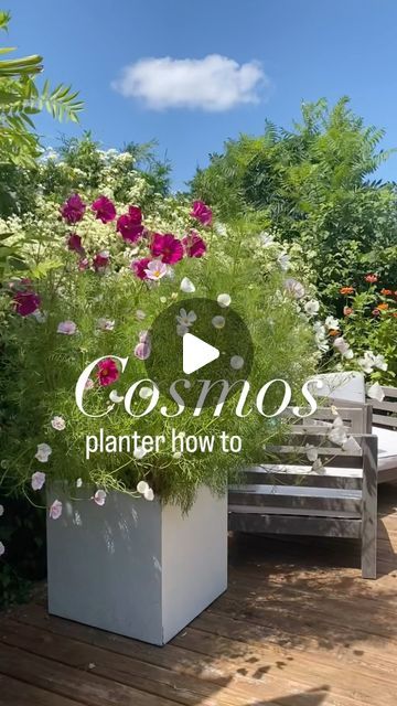 a white planter filled with flowers sitting on top of a wooden deck