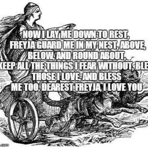 a drawing of a woman riding on top of a horse drawn carriage with the caption'now lay me down to best, frra guard me in my