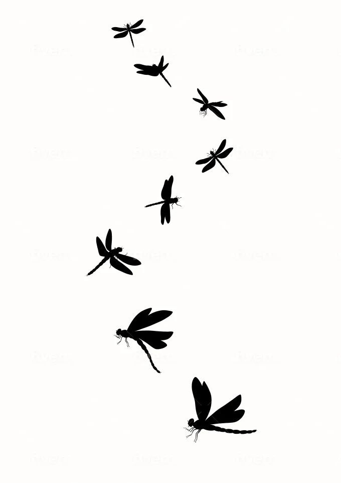 Dragonflies realistic lineart of a sketch or tattoo design Fantasy Line Drawing, Dragonfly Silhouette Tattoo, Dragon Fly Design, Black And White Dragonfly Tattoo, Dragon Fly Back Tattoo, Dragonfly Drawing Sketch, Dragon Fly Illustration, Dragonfly Line Art, Dragon Fly Tattoo Designs