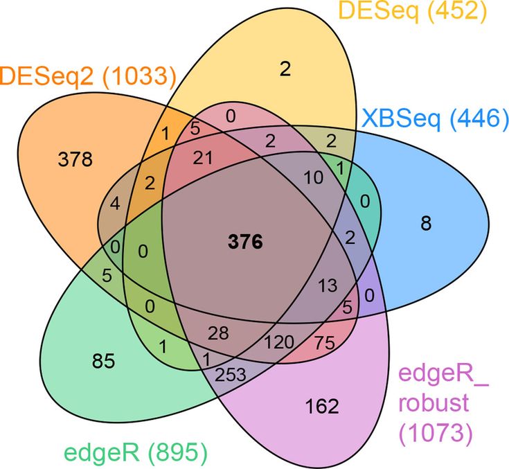 Venn Diagram 5 Circles