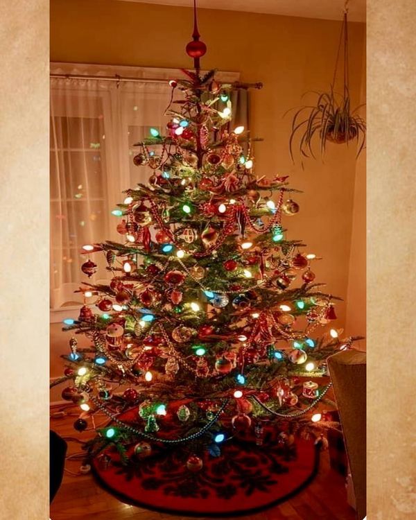 a decorated christmas tree in a living room