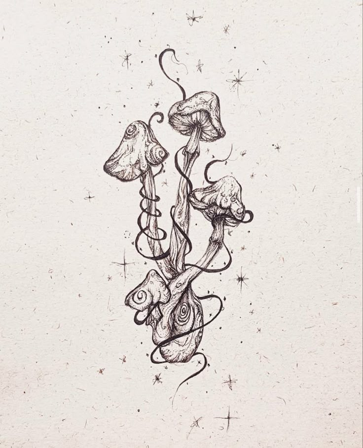 an ink drawing of mushrooms and vines on paper