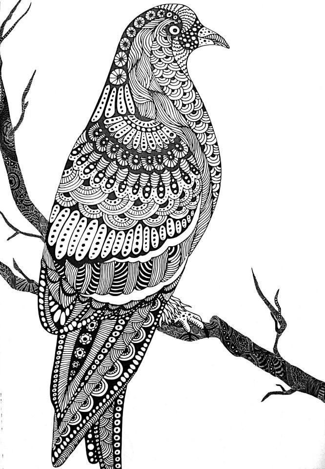 a black and white drawing of a bird sitting on a tree branch with intricate patterns