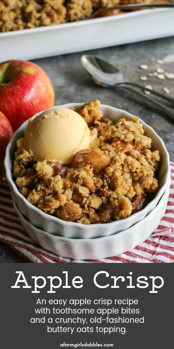 an apple crisp is served in a bowl with ice cream