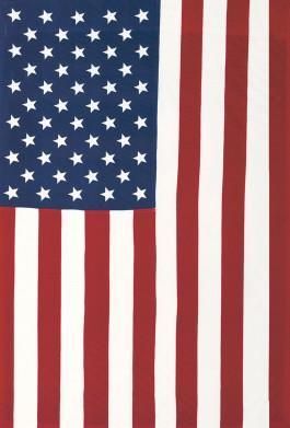 an american flag with white stars on it