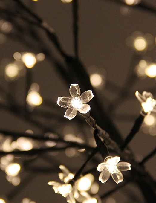 some lights that are on a tree in front of a dark background with no leaves