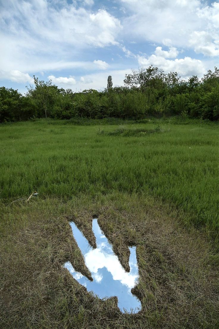 a reflection of a hand in the grass with trees in the background and blue sky