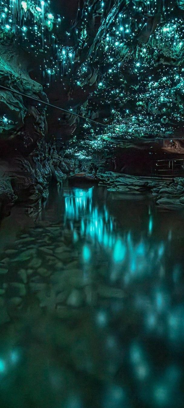 the inside of a cave filled with water and lit up by green lights on the ceiling