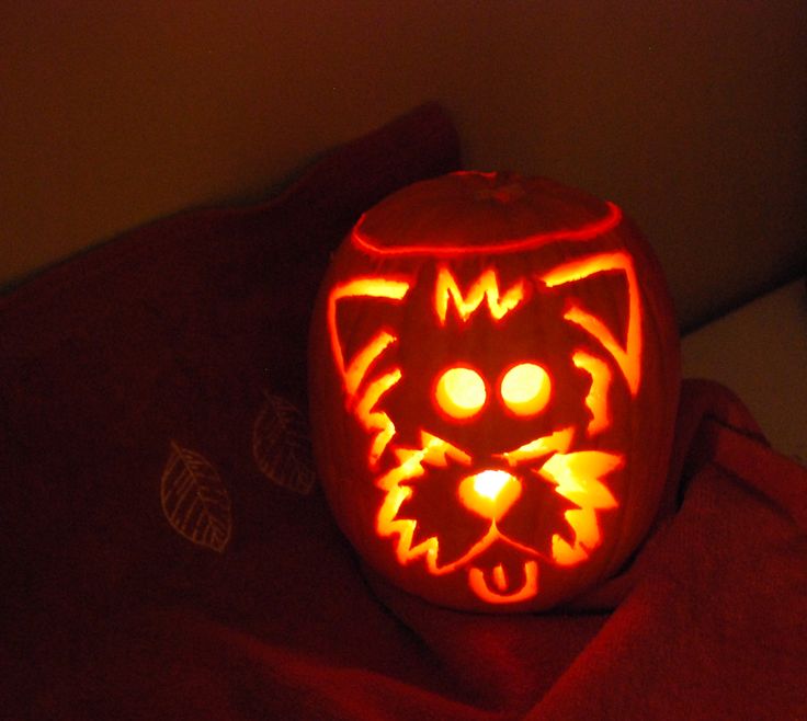 a pumpkin carved to look like a cat