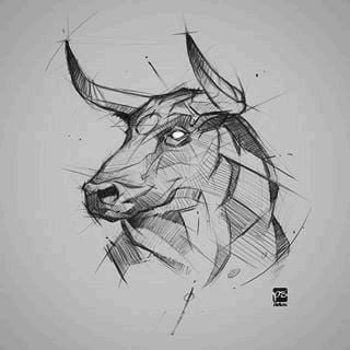 an ink drawing of a bull's head